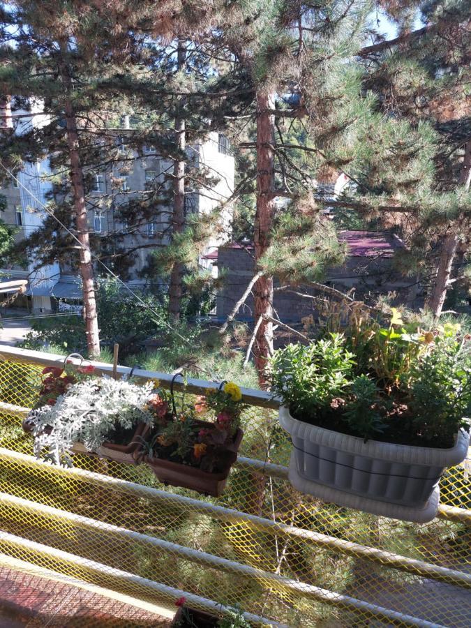 Apartamento Londa Borjomi Exterior foto