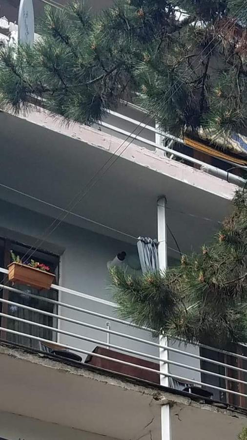Apartamento Londa Borjomi Exterior foto